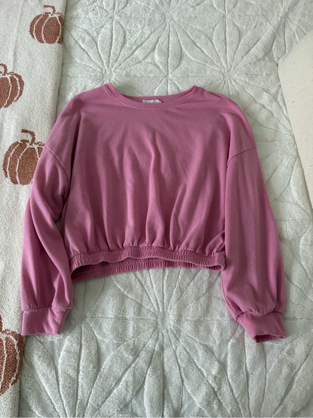 Elodie Dusty Rose Cropped Crewneck Sweatshirt